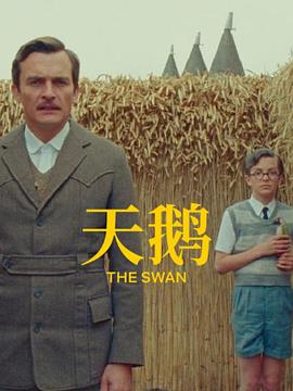 av在线播放网址