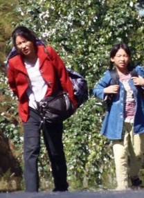 国产一区二区免费不卡在线播放